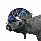 Plakattrykk "Jeg bærer deg" thumbnail